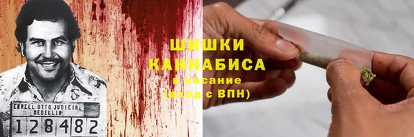амф Арсеньев