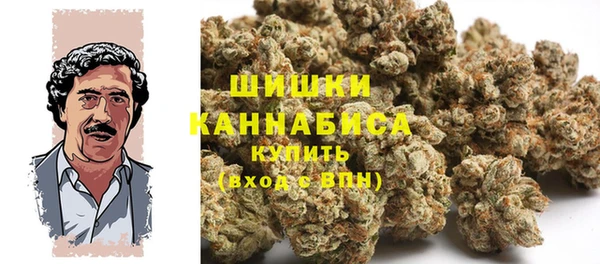 амф Арсеньев