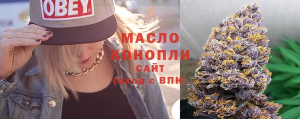 амф Осташков