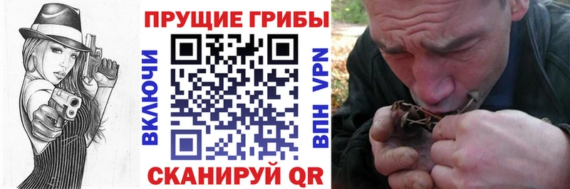 Галлюциногенные грибы мицелий  Белинский 